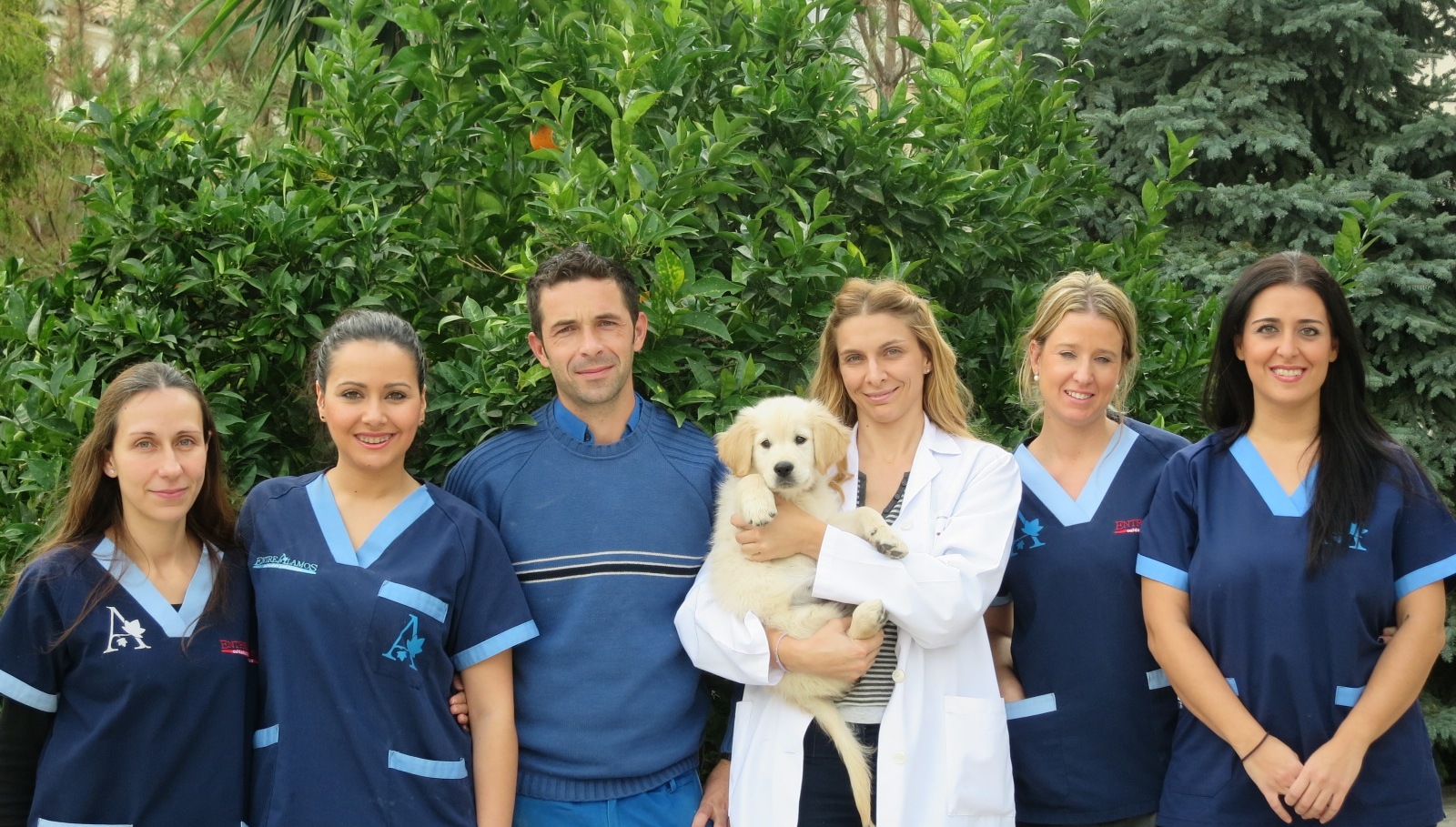 pueden los perros de terapia ir a las tiendas